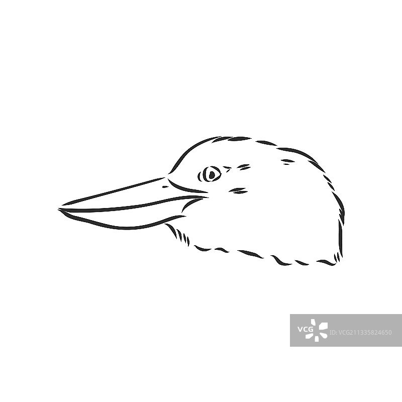 黑色轮廓翠鸟绘画图片素材