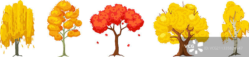 卡通秋季树木套装：白杨、桦树、橡树、枫树图片素材