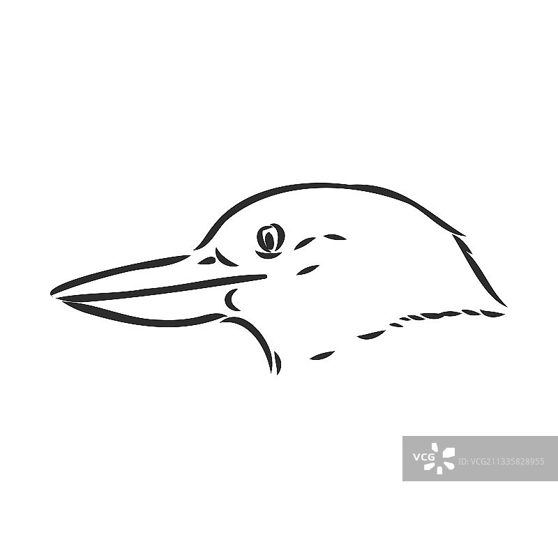 黑色轮廓翠鸟绘画图片素材