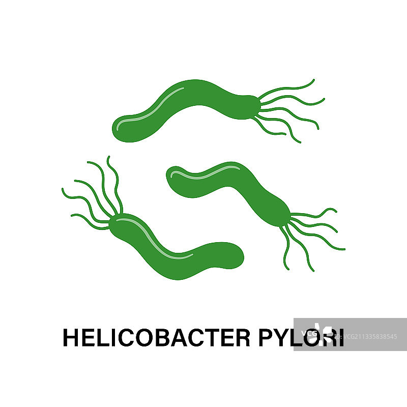 幽门螺杆菌胃病细菌图片素材