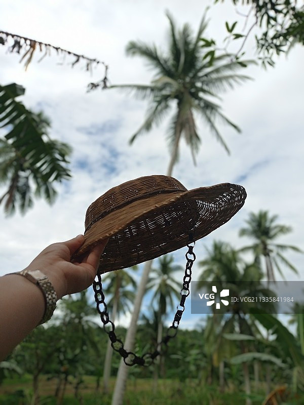手持椰子，背景是棕榈树的局部照片图片素材