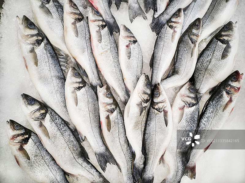 鱼市场上的鱼图片素材