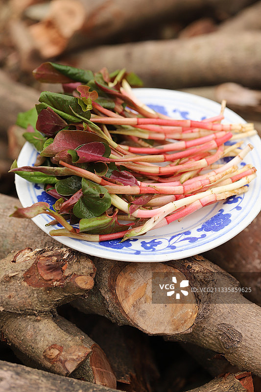 折耳根图片素材