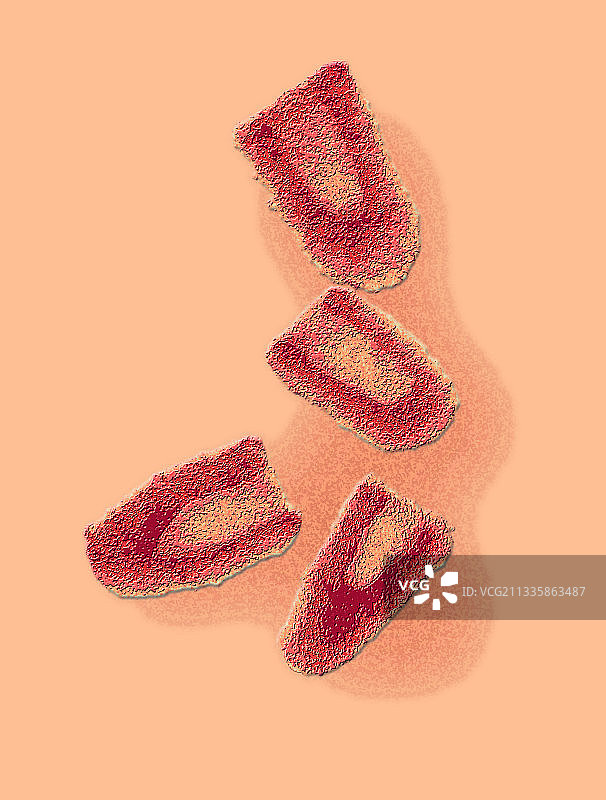 狂犬病病毒TEM图图片素材