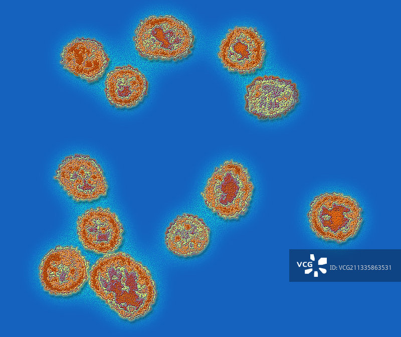 拉沙病毒，透射电镜图片素材