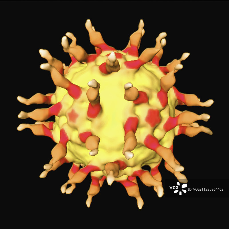 脊髓灰质炎病毒受体-冷冻电镜图片素材