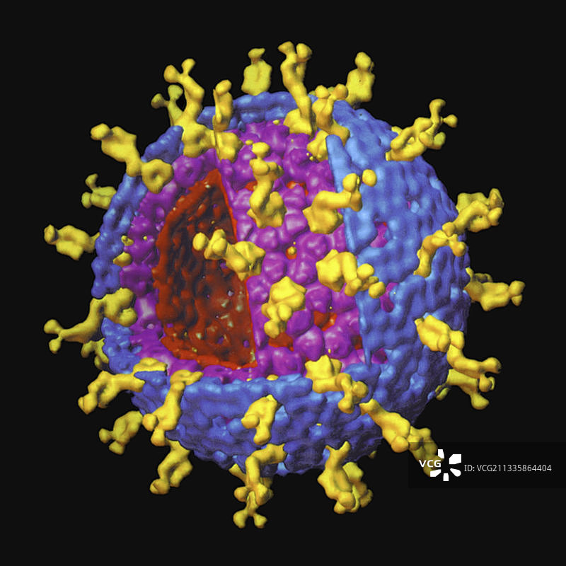 轮状病毒冷冻电镜图片素材