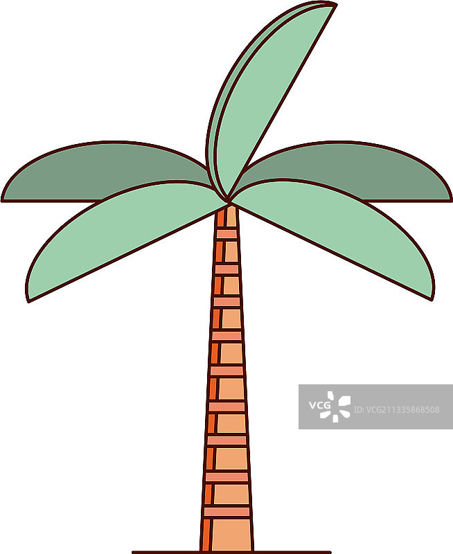 热带棕榈树图片素材