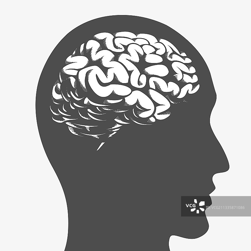 人头侧面轮廓中的大脑剪影图片素材