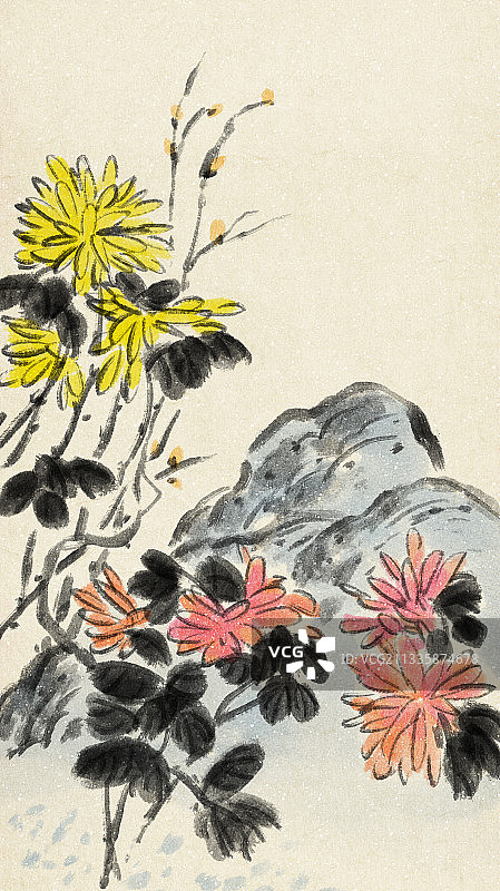 国画菊花图片素材