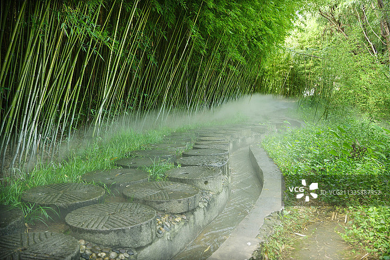 山东临沂沂水雪山彩虹谷“迷雾竹林”美景图片素材