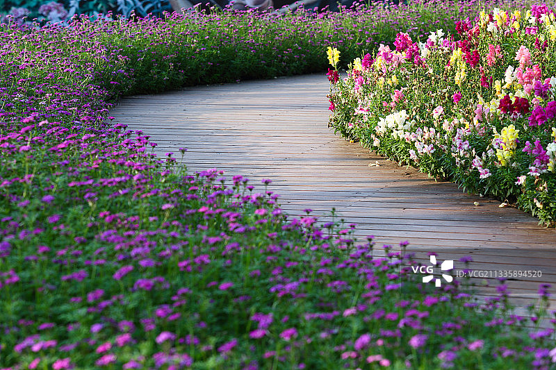 园林花园图片素材