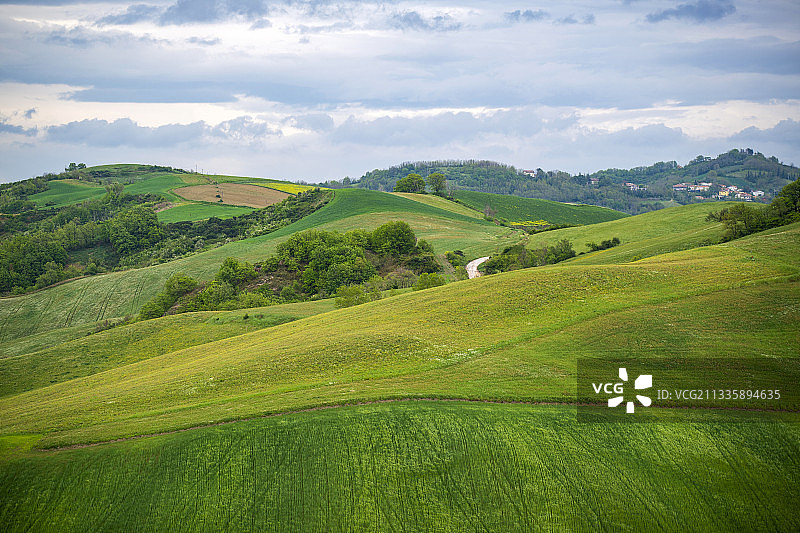 意大利马尔凯的绿色风景图片素材