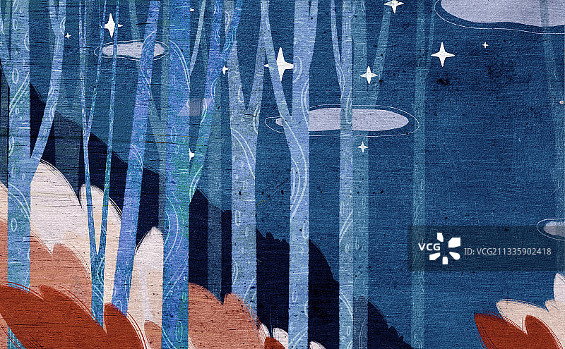 夜晚的森林图片素材