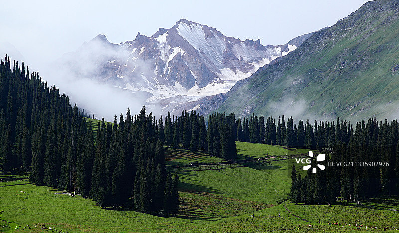 新疆伊犁那拉提 草原图片素材