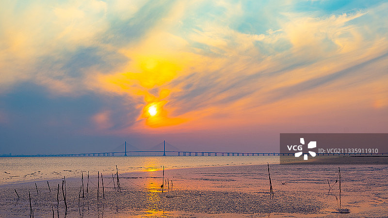 长江第一滩--崇明东滩图片素材