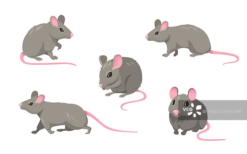 卡通老鼠套装图片素材