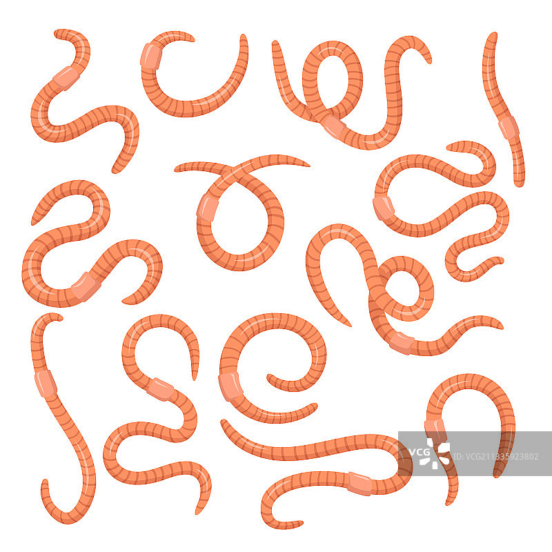 卡通粉色蠕虫集合图片素材