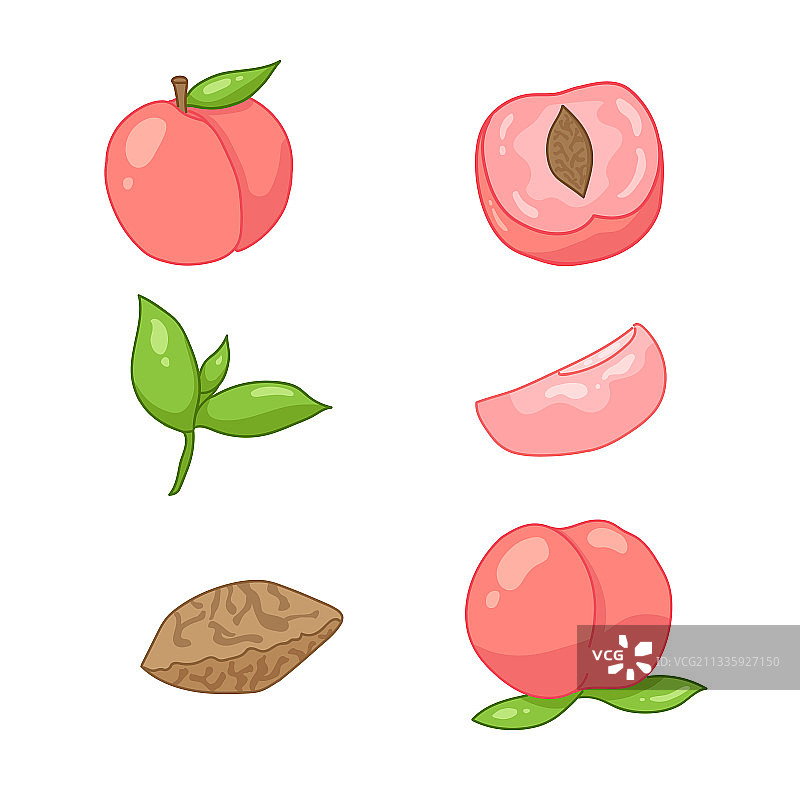 粉色桃子果肉系列手绘插画素材集合图片素材