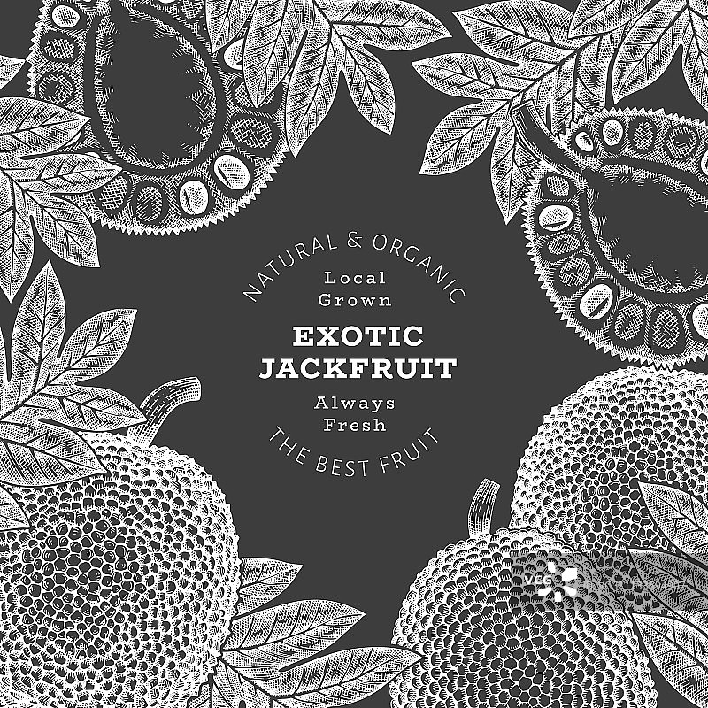 手绘素描风格菠萝蜜banner图片素材