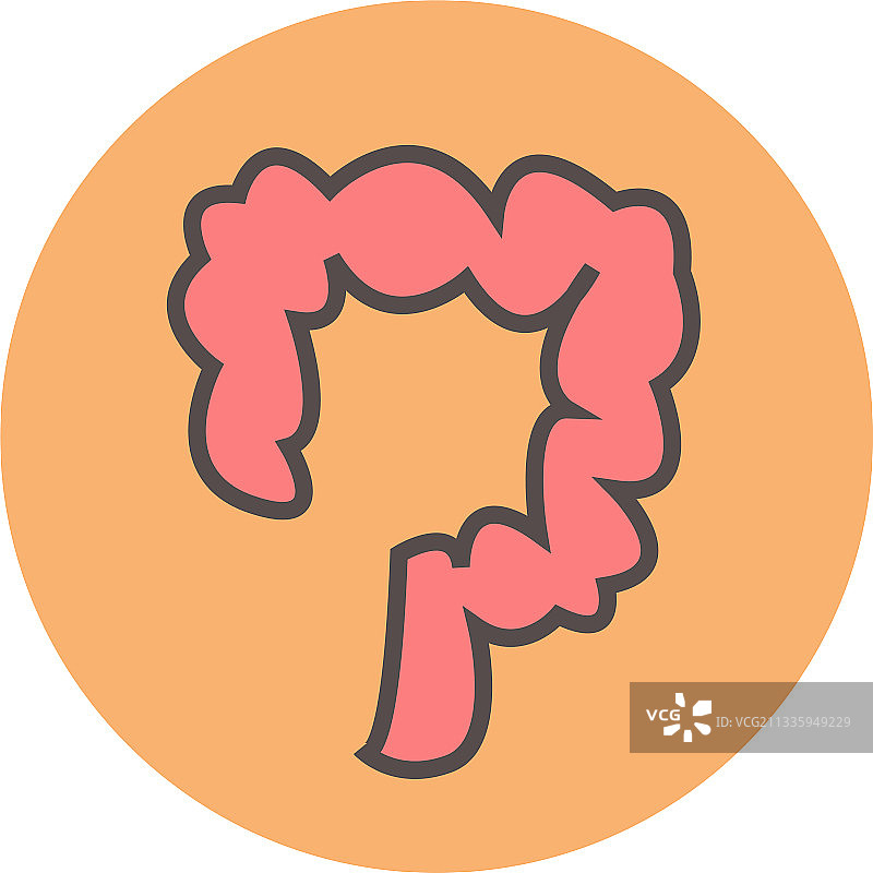 人的肠道图片素材