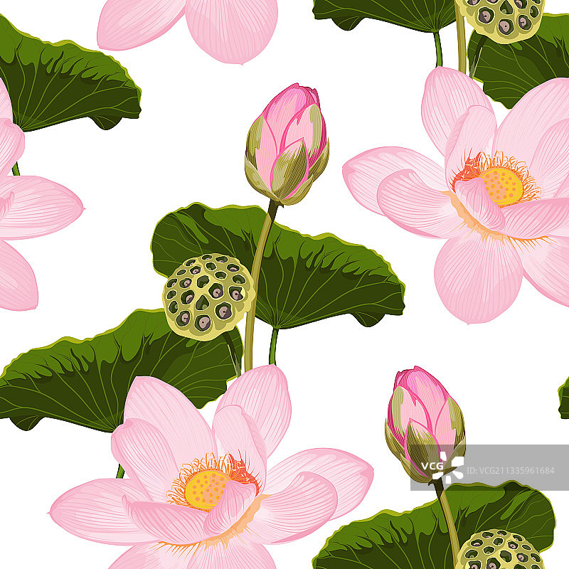 粉色睡莲无缝日式图案图片素材
