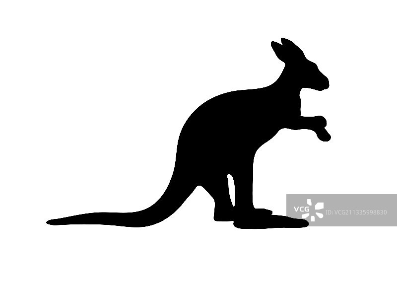 白色背景上的澳大利亚袋鼠剪影图片素材