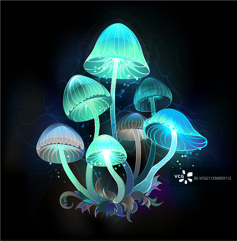 发光蓝色蘑菇图片素材