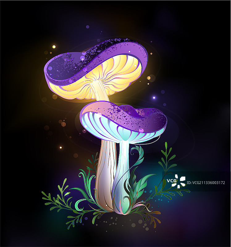 两朵发光蘑菇图片素材