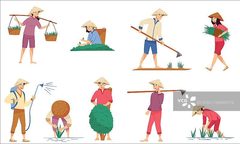 戴着锥形草帽耕作的越南农民图片素材