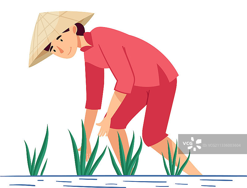 戴着斗笠的越南女农民图片素材