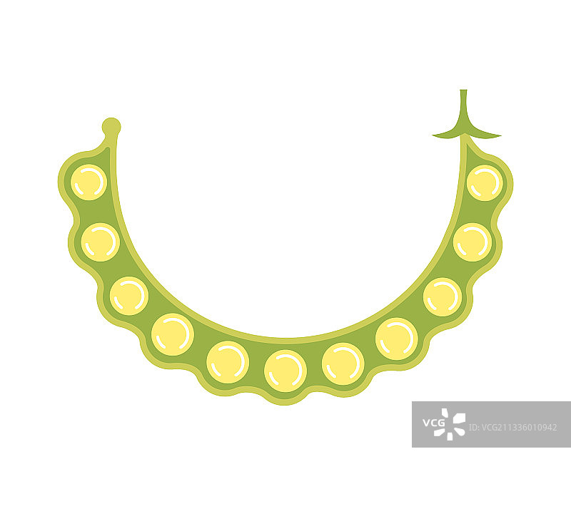 豆荚与完整豆子的扁平设计图片素材