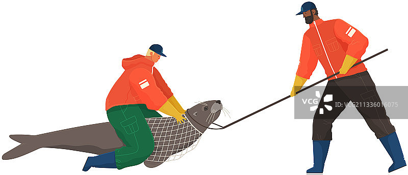 志愿者捕捉并救助动物图片素材