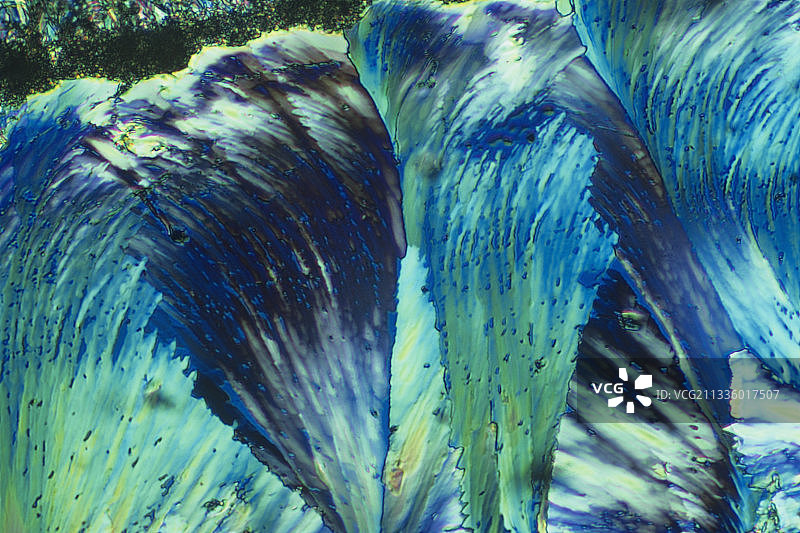 维生素A晶体的偏振视图。LM图片素材