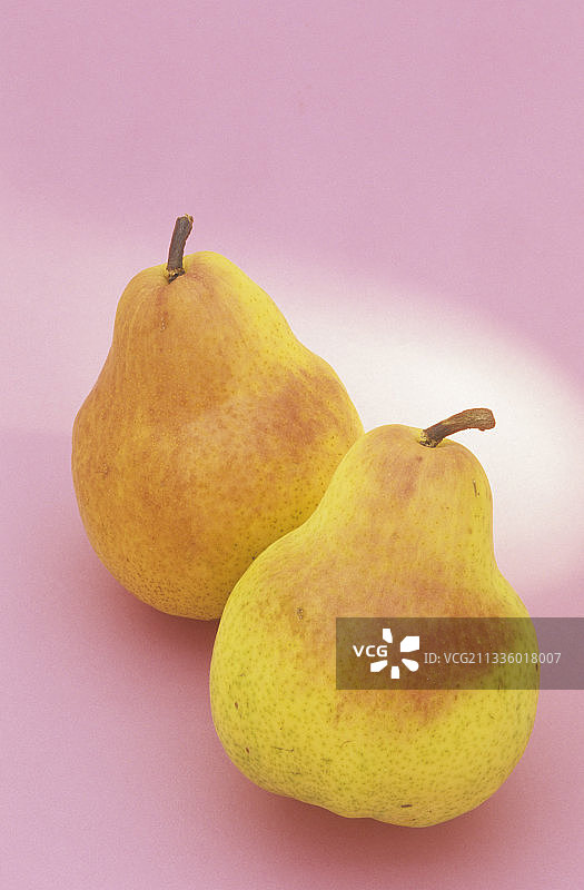 巴特利特梨（普通梨）图片素材