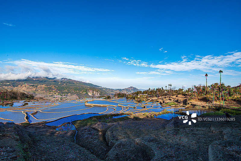 爱春蓝梯田 红河图片素材