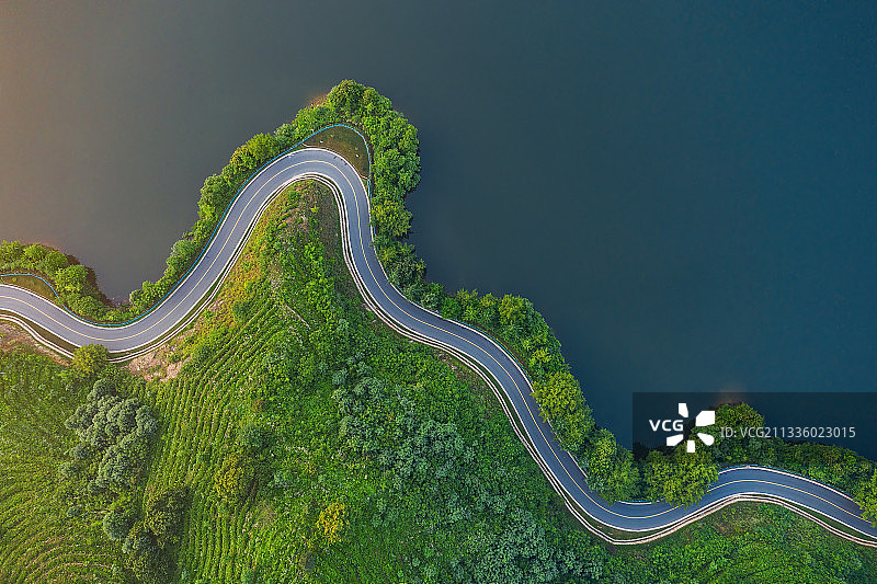 湖泊竹林公路俯瞰航拍图片素材