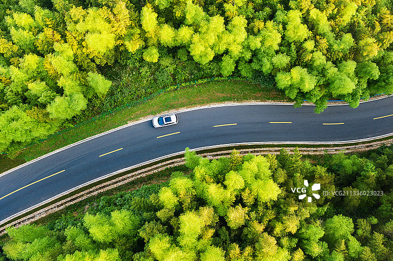 湖泊竹林公路俯瞰航拍图片素材