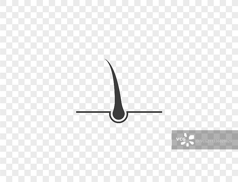 毛发毛囊根部图标图片素材