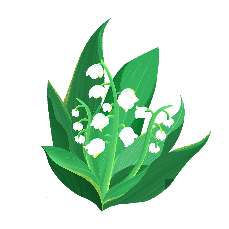 铃兰花元素图片素材