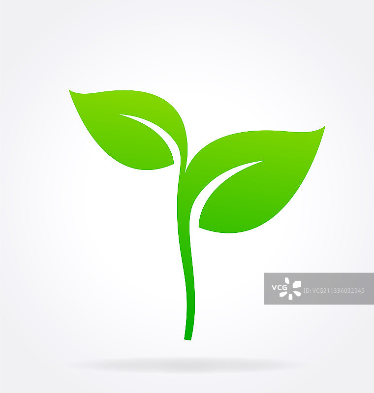 绿意盎然的幼苗叶子图片素材