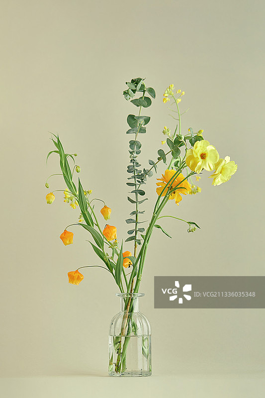 春季花束图片素材