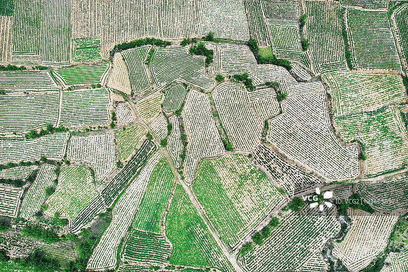 山东枣庄山亭区山坡梯田夏日美景图片素材