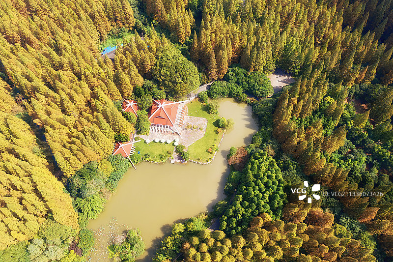 上海崇明东平国家森林公园图片素材