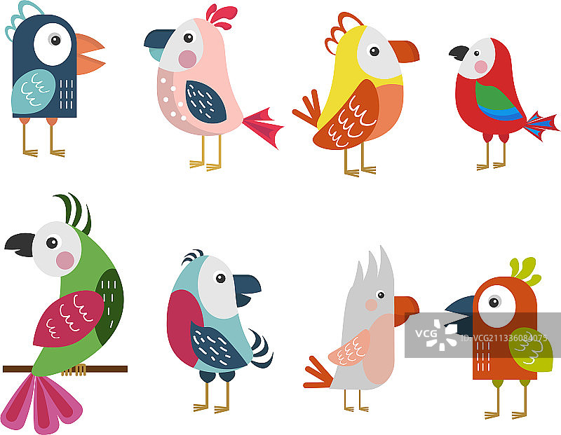 卡通风格热带鹦鹉合集图片素材