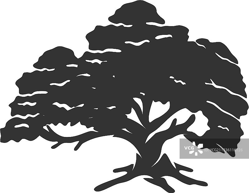 橡树概念模板标志图片素材