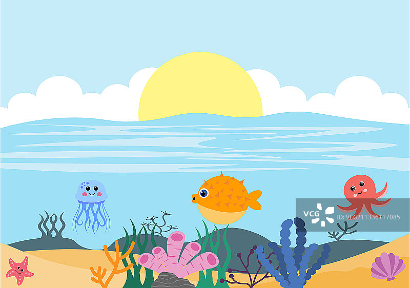 水下风光和可爱的动物图片素材