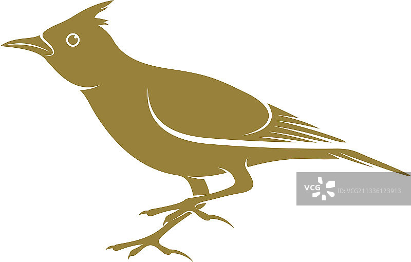 云雀鸟创意Logo设计图片素材