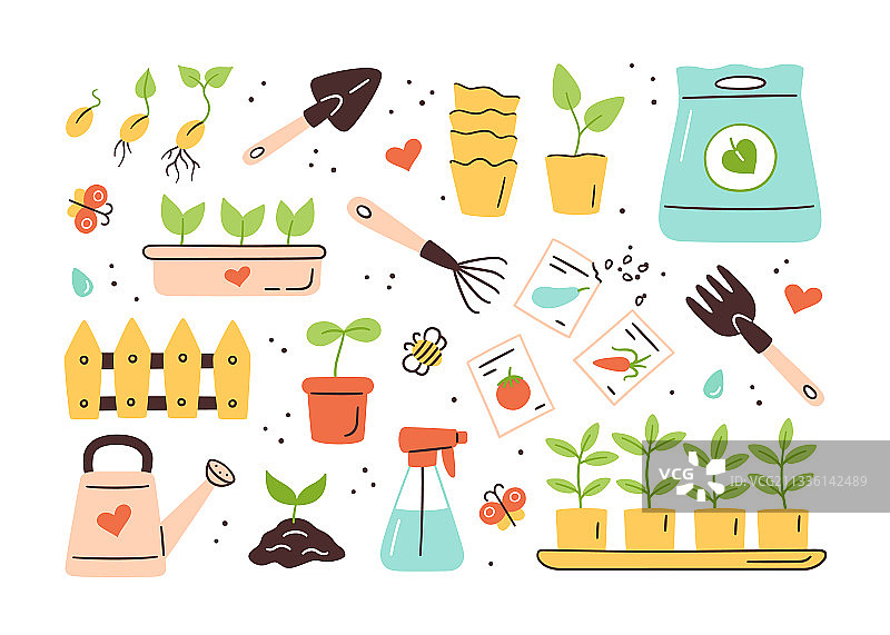 种子和幼苗发芽工具图片素材