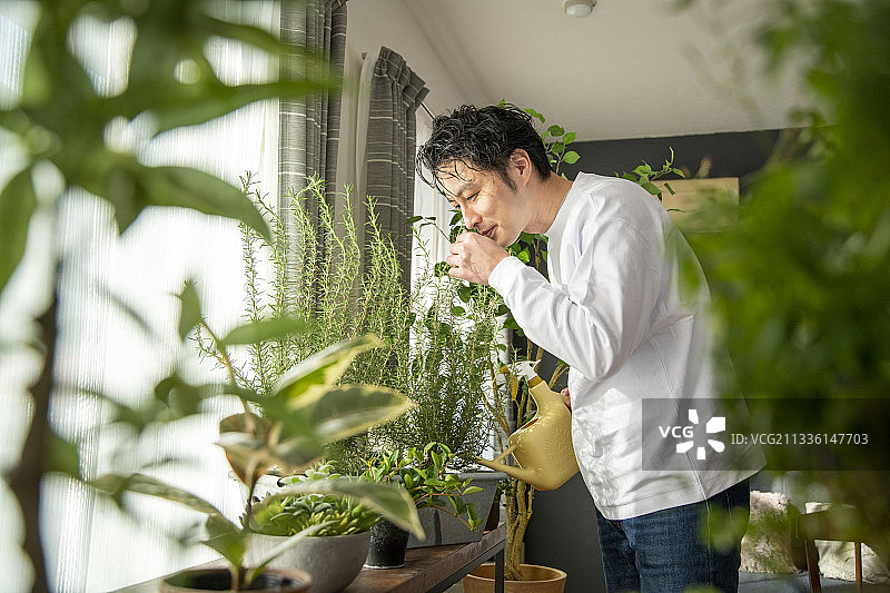 与植物为伴的生活图片素材